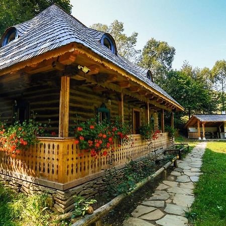 Вілла Casa Lu' Ion Вишово-Вижнє Екстер'єр фото