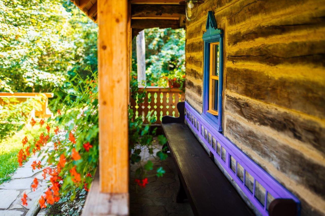 Вілла Casa Lu' Ion Вишово-Вижнє Екстер'єр фото