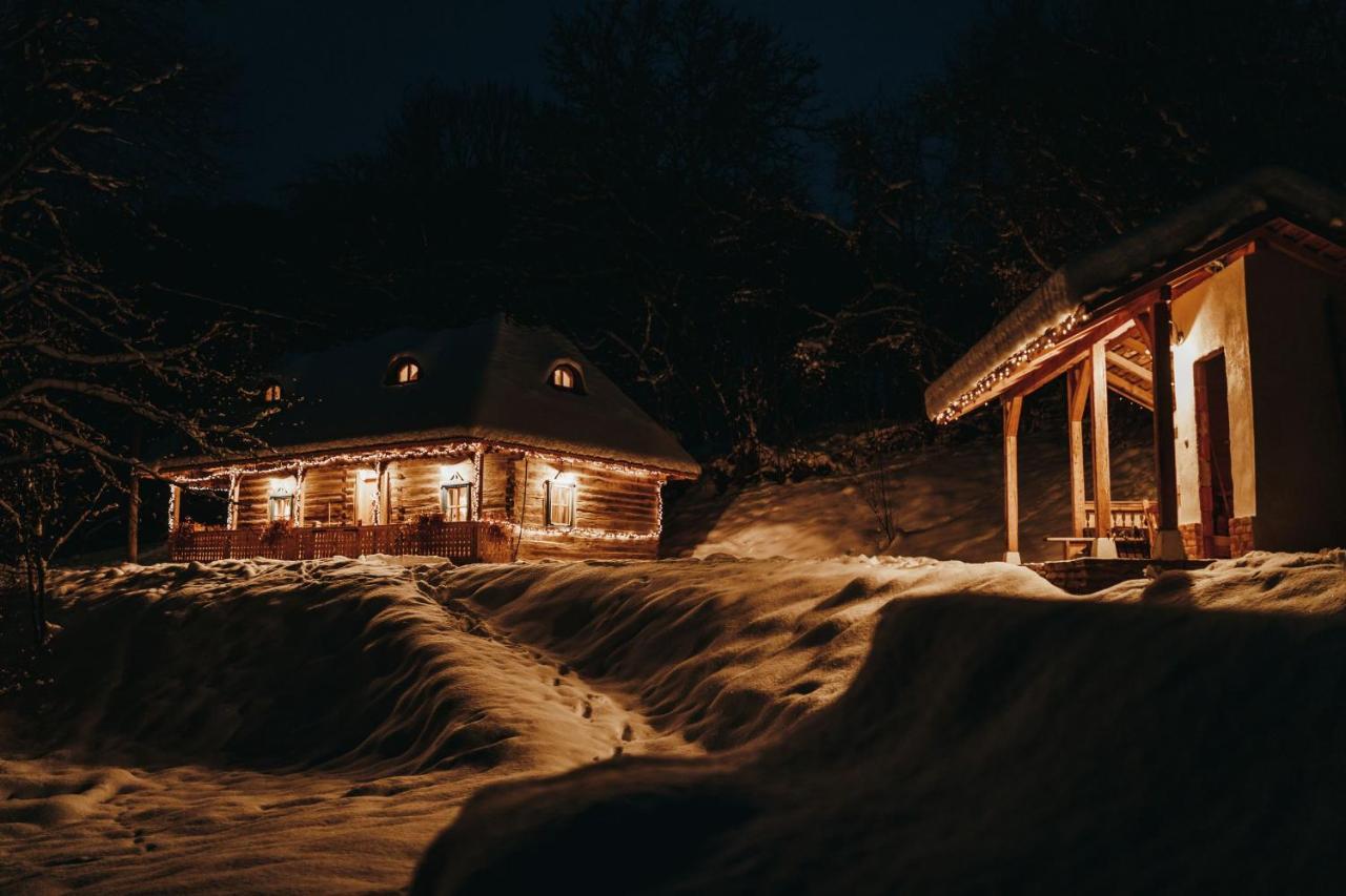 Вілла Casa Lu' Ion Вишово-Вижнє Екстер'єр фото