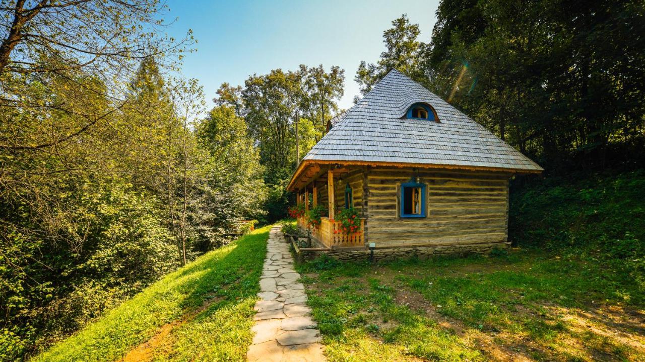 Вілла Casa Lu' Ion Вишово-Вижнє Екстер'єр фото