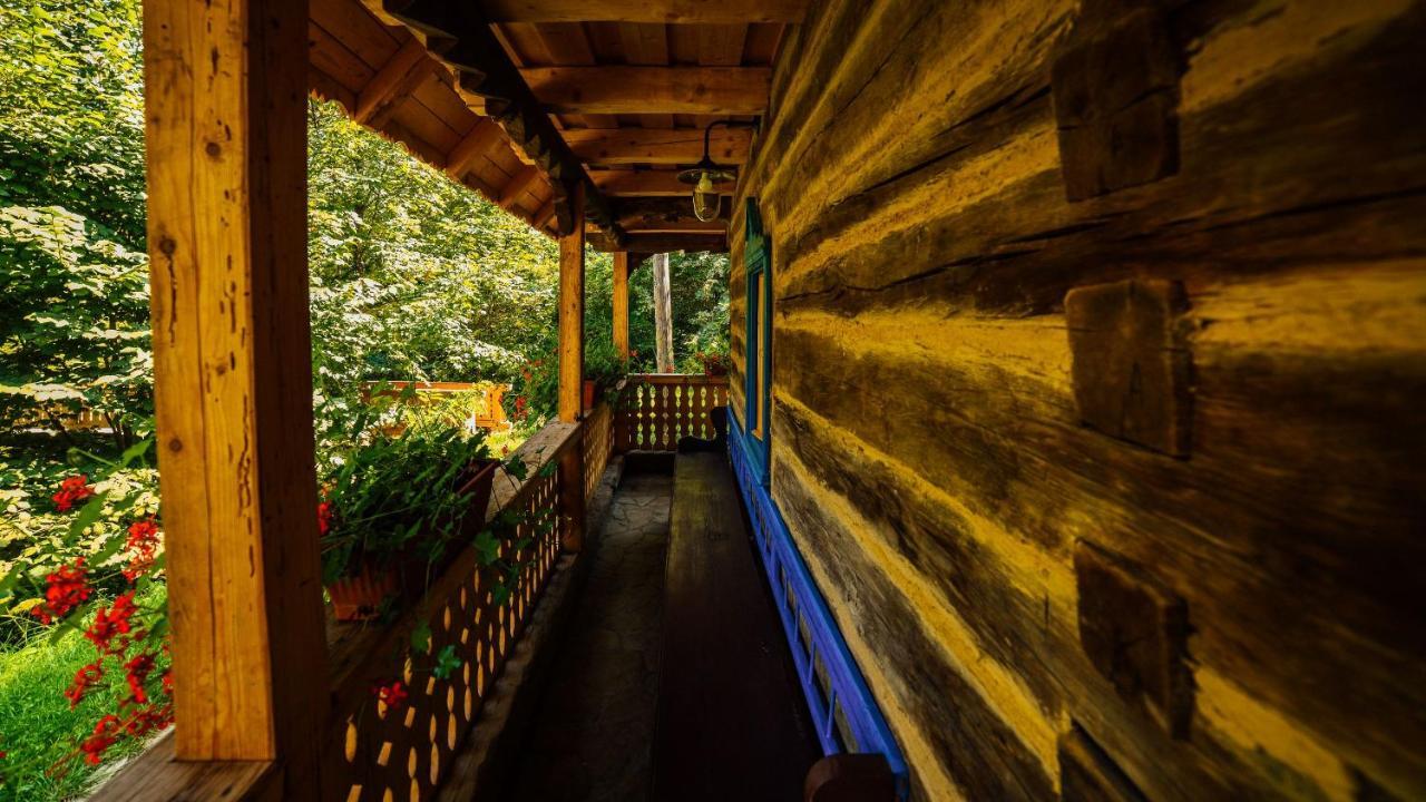 Вілла Casa Lu' Ion Вишово-Вижнє Екстер'єр фото