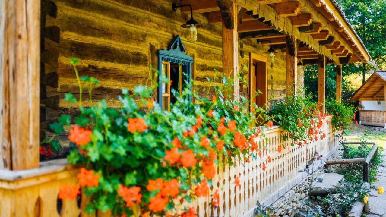 Вілла Casa Lu' Ion Вишово-Вижнє Екстер'єр фото