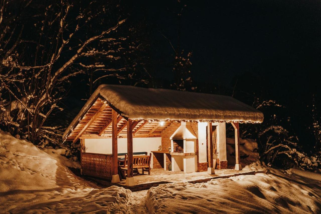 Вілла Casa Lu' Ion Вишово-Вижнє Екстер'єр фото