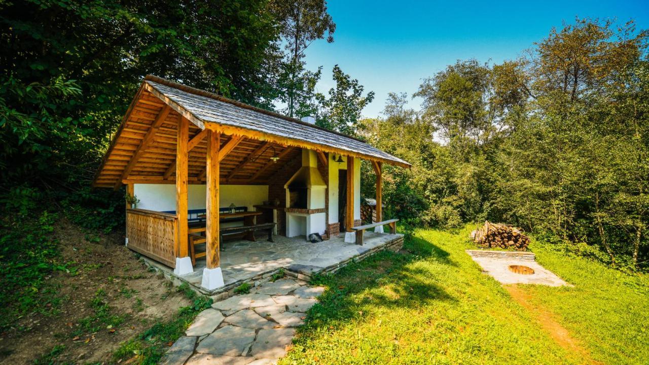 Вілла Casa Lu' Ion Вишово-Вижнє Екстер'єр фото