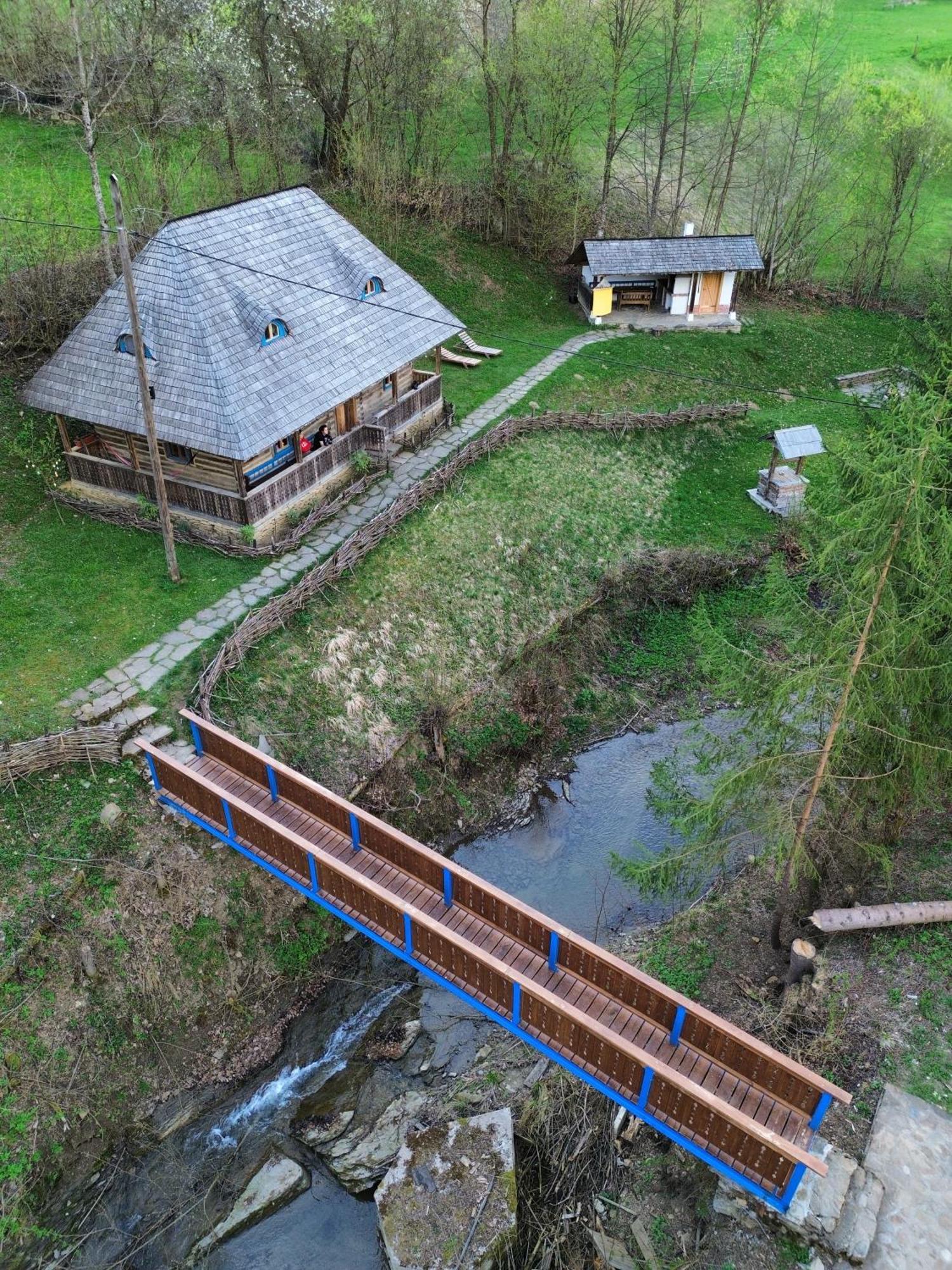 Вілла Casa Lu' Ion Вишово-Вижнє Екстер'єр фото