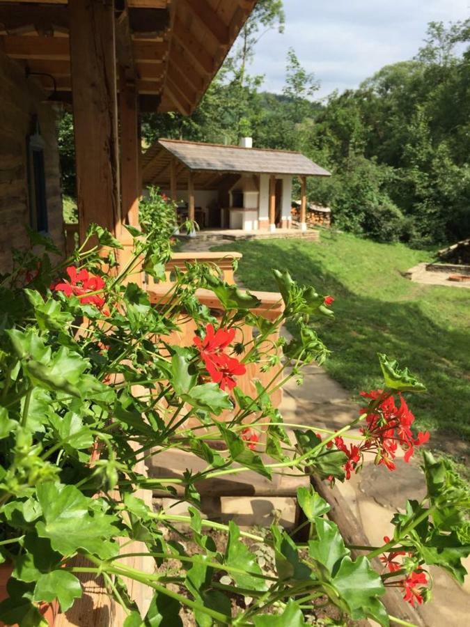 Вілла Casa Lu' Ion Вишово-Вижнє Екстер'єр фото